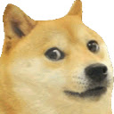 libdoge