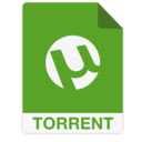 Torrent magnet finder