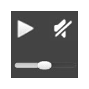 Always Show HTML5 Video Controls