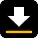 Video Downloader Pro